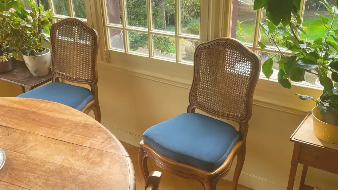 Chaises cannées — assises velours bleu